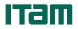 ITAM