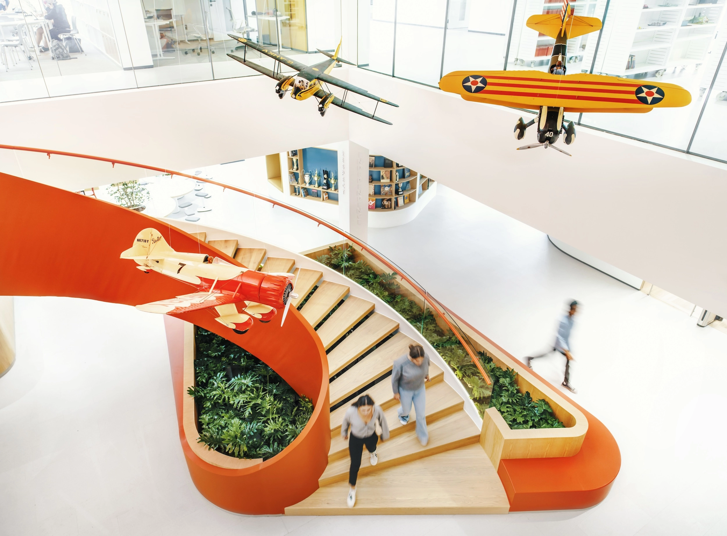 Hive & Flight · Constituyentes 1